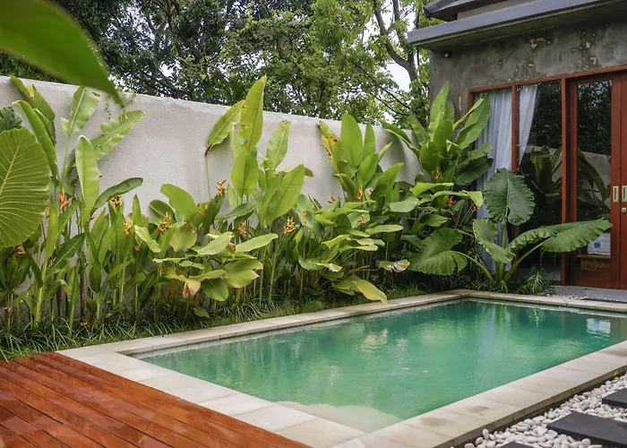 La Isla Bali تْشانغو