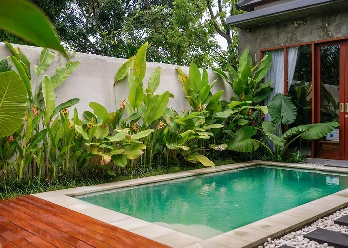فيلة La Isla Bali